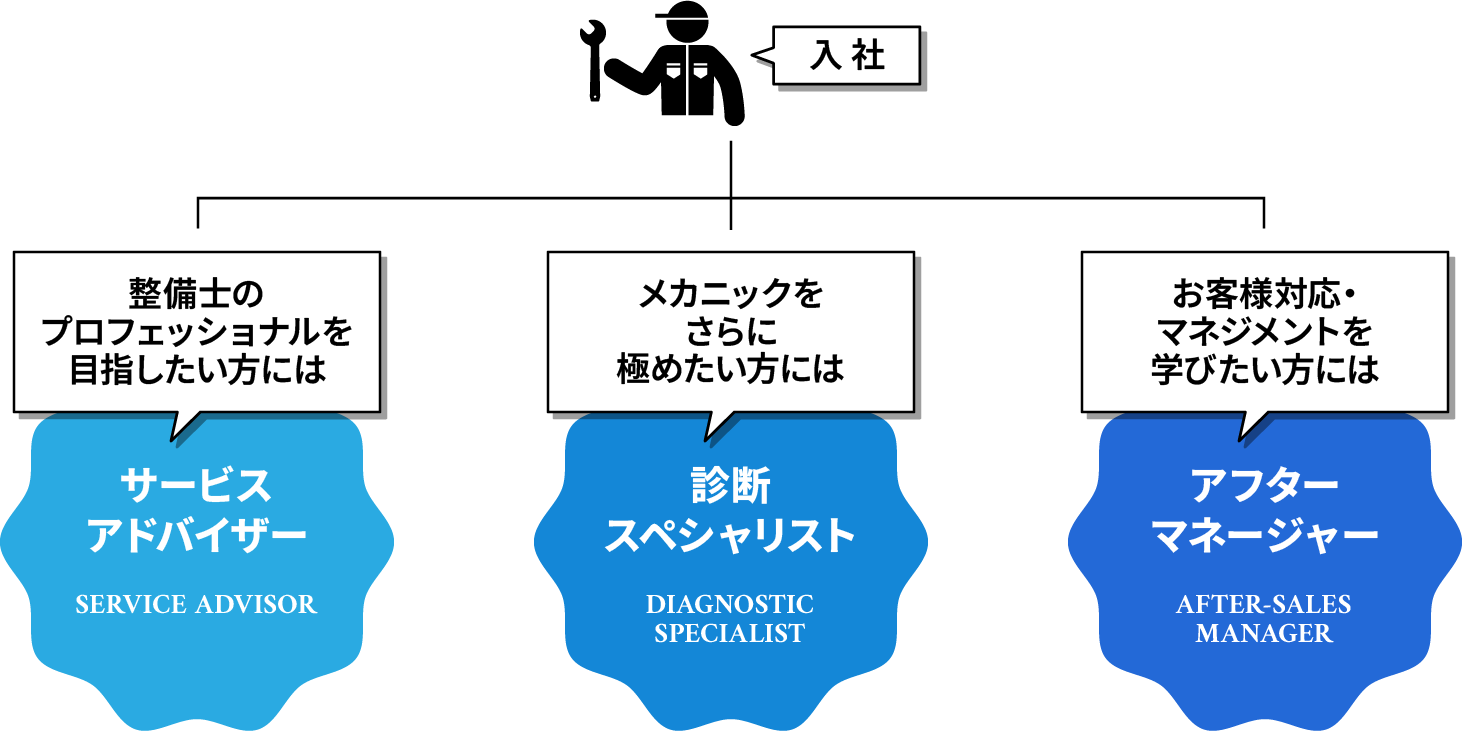 入社後のキャリアステップ